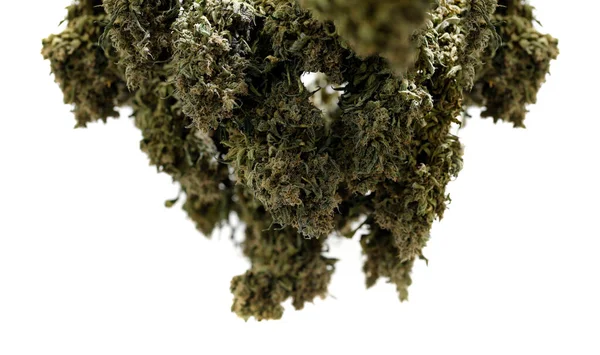 Gedroogde Cannabis Bloem Witte Geïsoleerde Achtergrond — Stockfoto