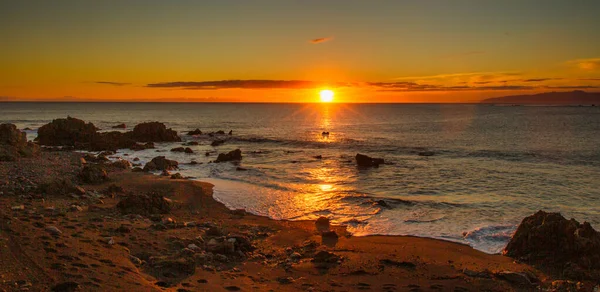 Aspra Costa Selvaggia Cape Palliser Con Magnifico Tramonto Vibrante All — Foto Stock