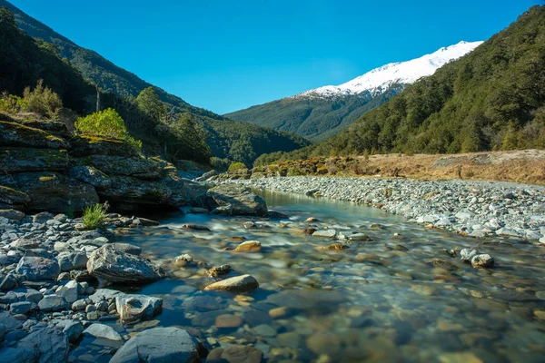 Makarora River Meandering Haast Pass Southern Alps National Park — Stockfoto