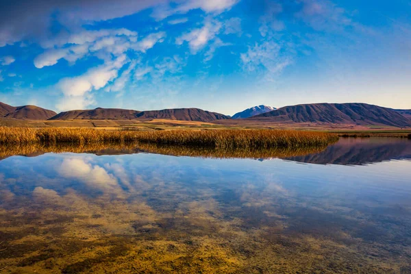 Dos Pequenos Lagos Maori Parque Conservação Hakatere Nas Terras Altas — Fotografia de Stock