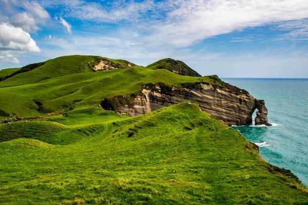 Slightly above the Cape Farewell Lookout on the walkway through  the farming agricultural land along the coastline. 