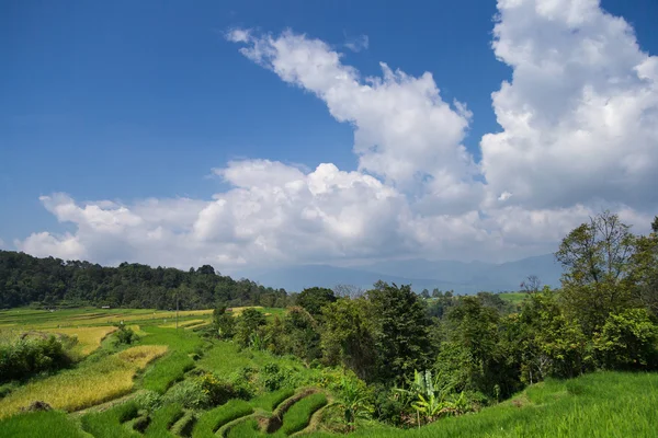 Terrenos agrícolas en Sumatera, Indonesia . — Foto de Stock