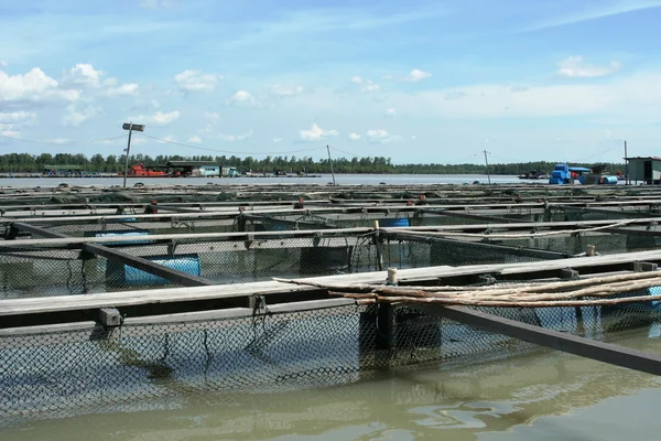 Fish farm in Pulau Ketam — Stock Photo, Image