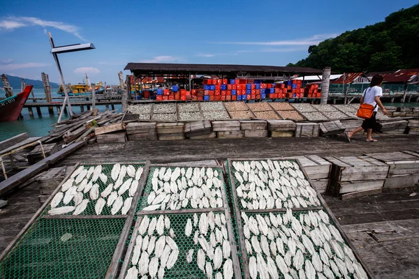Переработка рыбной продукции — стоковое фото