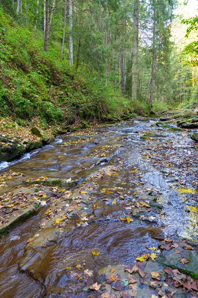 Landscape Fast Mountain River Zhonka Covered Colorful Foliage Flow Green — Stockfoto