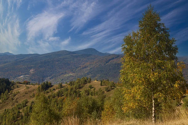 Mountain Autumn Landscape Hiking Trail Background Mountain Peaks View Makovytsia — Stock Photo, Image