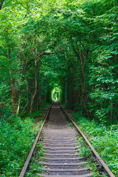 Tunnel Love Favoritplats För Par Att Promenader Naturligt Mirakel Gamla — Stockfoto