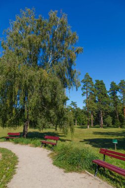 Botanik bahçesindeki patika yaz günü Oleksandriya 'da. Oleksandriya peyzaj alanı. Bila Tserkva şehri. Ukrayna. Ünlü turizm beldesi   