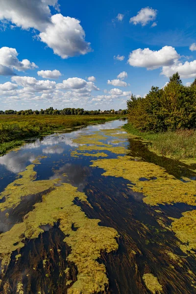 Letní Krajina Řece Styr Létě Tichá Řeka Mezi Zelenými Břehy — Stock fotografie