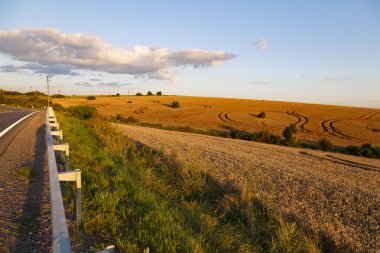 Olgun buğday tarlalarıyla dolu kırsal bir arazi. Gün batımında asfalt yolda daireler çiziyor. Hasat. Ukrayna
