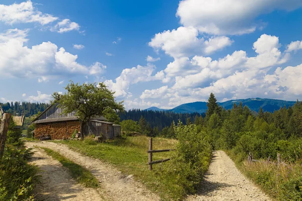Karpatenlandschaft Einem Sonnigen Sommertag Blick Auf Das Bergdorf Ukraine — Stockfoto