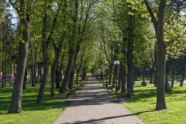 Baharda güzel Ukrayna Chernihiv şehri. Ukrayna. Rus ordusunun bombalanmasından önceki şehir manzarası