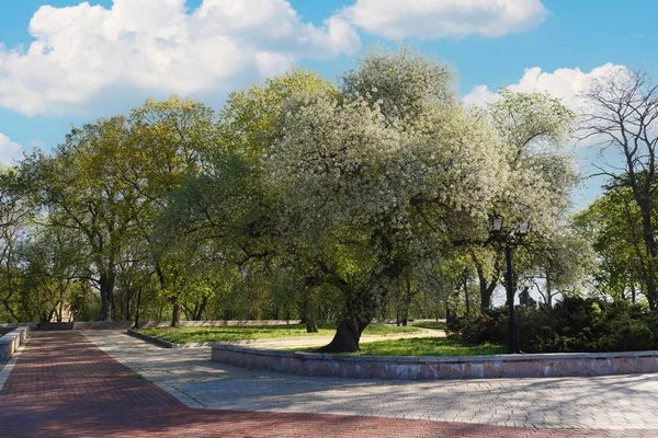 Прекрасный Украинский Город Чернигов Весной Украина Вид Города Перед Бомбежкой — стоковое фото
