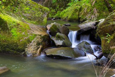 Bir dağ geçidinde yosunlu taşların arasında küçük bir şelale. Konum: Kamianka (Kam 'yanka) nehri, Skole Beskids Ulusal Doğa Parkı, Karpat Dağları, Ukrayna
