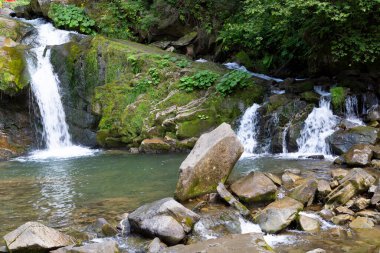 Dağ ormanı vadisindeki yosunlu taşlar arasında iki küçük şelale. Konum: Kamianka (Kam 'yanka) nehri, Skole Beskids Ulusal Doğa Parkı, Karpat Dağları, Ukrayna. Turizm merkezi