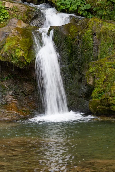 Dağ ormanı vadisindeki yosunlu taşların arasında küçük şelaleler. Konum: Kamianka (Kam 'yanka) nehri, Skole Beskids Ulusal Doğa Parkı, Karpat Dağları, Ukrayna. Turizm merkezi