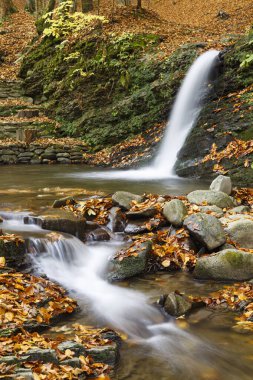 Turichka nehri kıyısındaki dağ geçidinde Krutylo şelalesine yaprakların döküldüğü sonbahar manzarası. Karpatlar, TransCarpathia 'nın ışıltılı köyü. Ukrayna.