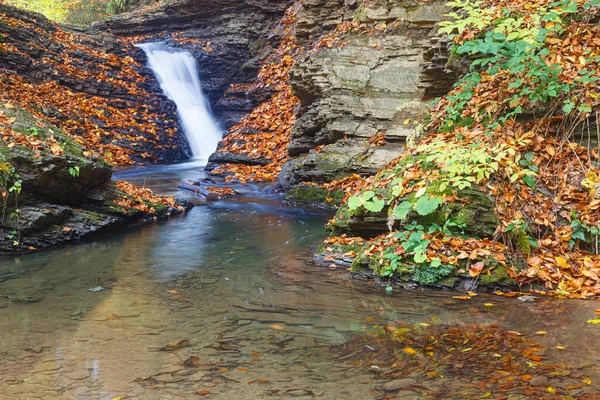 Naturlandschaft Mit Laubfall Wasserfall Der Gebirgsschlucht Fluss Turichka Lumshory Dorf — Stockfoto