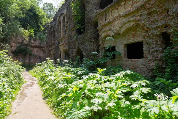 Antik Tarakaniv (Tarakanivsky) kalesi. Dubno kalesi, harabe savaş tahkimatı. Ukrayna. Dışarıdaki terk edilmiş kale, yeşil ormandaki harabe kale. Turistik bölge