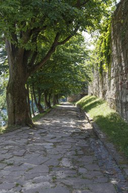 Terebovlia kalesi açık havada, yaz gününde. Tarihi Ukrayna kalesi. Taş yol kaleye gidiyor. Terebovlia kasabası. Batı Ukrayna. Tuirizm hedefi, kara parçası