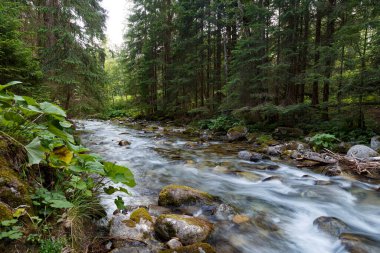 Kaisertrutz Kalesi, Grlitz Tarih ve Kültür Müzesi. Gorlitz, Goerlitz, Grlitz şehri. Almanya. Turistik bölge
