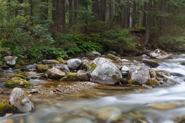 Kaisertrutz Kalesi, Grlitz Tarih ve Kültür Müzesi. Gorlitz, Goerlitz, Grlitz şehri. Almanya. Turistik bölge