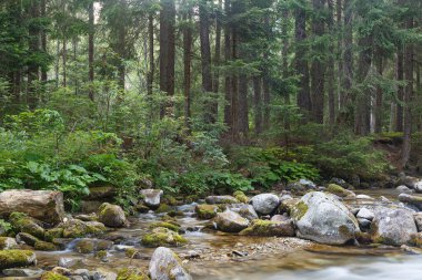 Kaisertrutz Kalesi, Grlitz Tarih ve Kültür Müzesi. Gorlitz, Goerlitz, Grlitz şehri. Almanya. Turistik bölge
