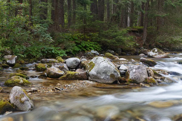 Kaisertrutz Kalesi, Grlitz Tarih ve Kültür Müzesi. Gorlitz, Goerlitz, Grlitz şehri. Almanya. Turistik bölge