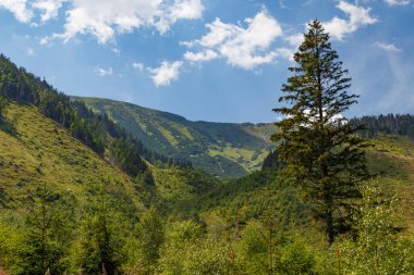 Kaisertrutz Kalesi, Grlitz Tarih ve Kültür Müzesi. Gorlitz, Goerlitz, Grlitz şehri. Almanya. Turistik bölge