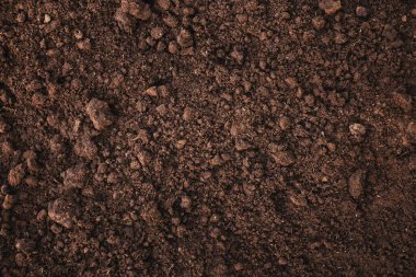Close-up of fertile loam for the background clipart