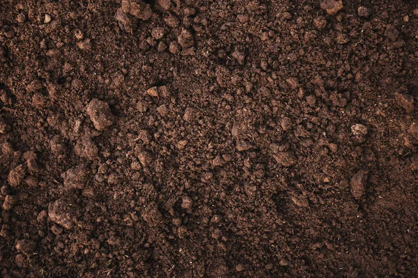 Close Loam Fértil Para Fundo — Fotografia de Stock