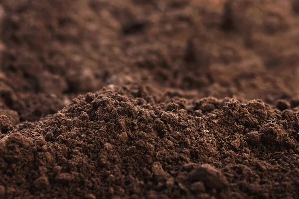 Close Loam Fértil Para Fundo — Fotografia de Stock