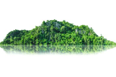 Dağda beyaz arkaplandan ayrılmış pek çok doğal ağaç var.