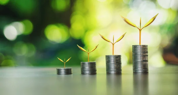 Coins Stack Step Growing Plant Sunshine Background Concept Saving Money — Stock Photo, Image