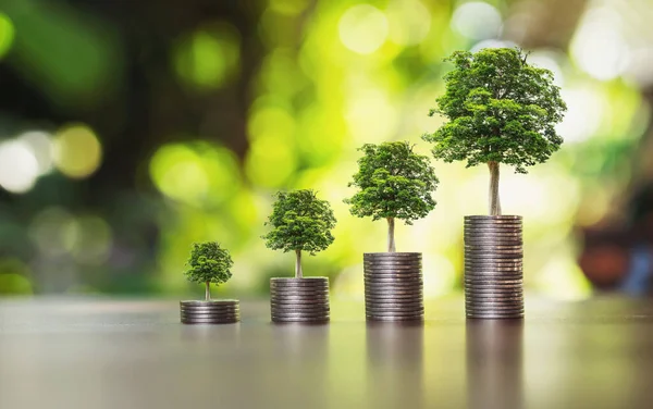 coins stack with step growing plant and sunshine background. concept saving money