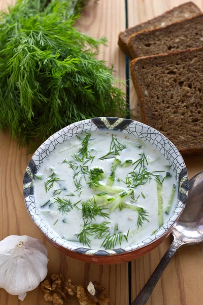 Kalte bulgarische Suppe — Stockfoto