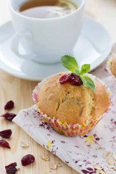 Muffiny s brusinkami a ovesné vločky — Stock fotografie