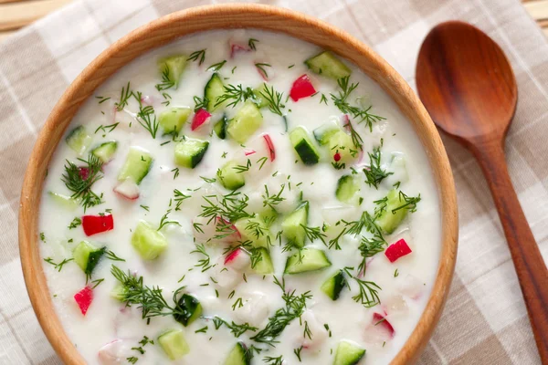 Kalte Suppe mit Gemüse und Dill — Stockfoto