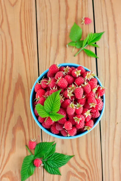 Himbeeren in der blauen Schüssel — Stockfoto