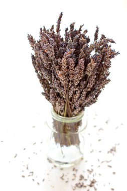 beyaz üzerine kurutulmuş lavanta demeti