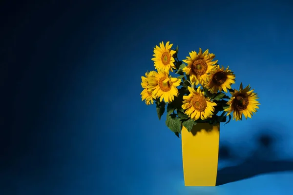 Summer flowers bouquet. Beautiful bouquet of sunflowers in yellow bucket, vase in low light isolated on blue background. Seven sunflowers in a vase. Summer blossom flowers studio shot.