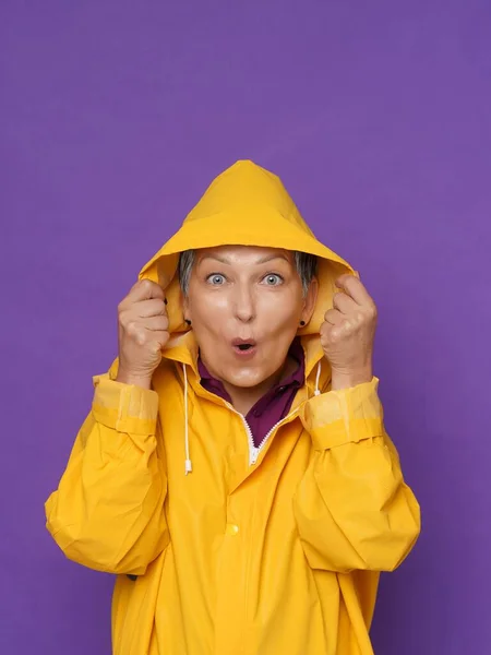 Excited of a rain holding yellow water proof rubbered raincoat hood mature grey haired woman isolated on purple background. Showing love senior woman in raincoat.