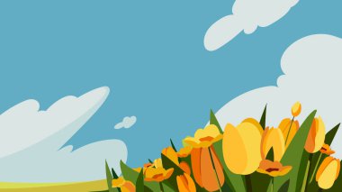 Çayırdaki sarı çiçekler.