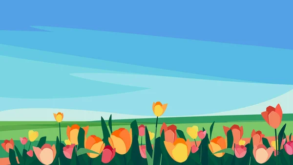 Tulips of different colors on the meadow. — Archivo Imágenes Vectoriales