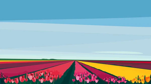 Feld mit verschiedenen Tulpen. — Stockvektor