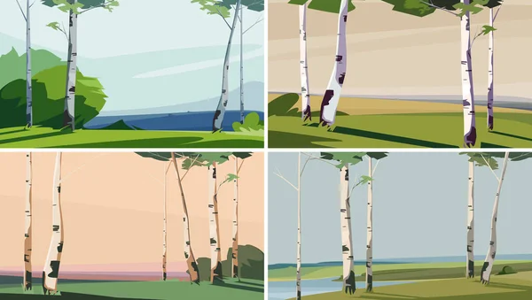 Collection of landscapes with birches. — Stockvektor