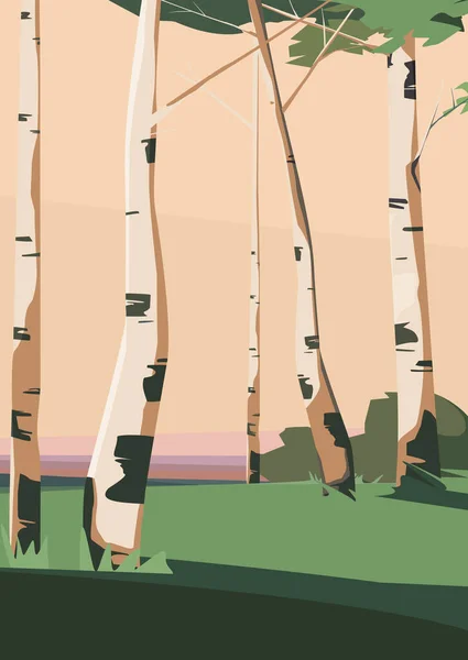 Birches at sunset. — Vettoriale Stock