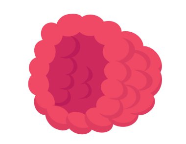 Ahududu arka planı. Çizgi film tarzında dut..