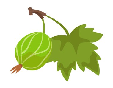 Yapraklı Bektaşi üzümü. Çizgi film tarzında dut..