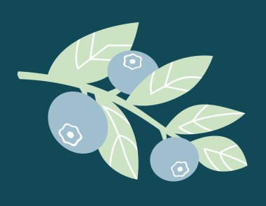 Yapraklı yabanmersini dalı. Böğürtlenler düz.